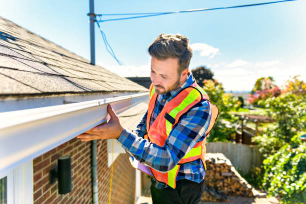 Best Roof Moss and Algae Removal  in Springville, VA